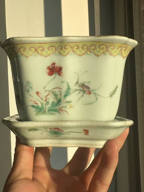 古玩陶瓷蟲草紋粉彩花盆真品鑒賞圖