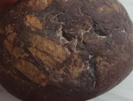 古玩雜項試頭真品鑒賞圖