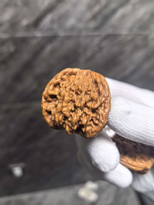 古玩雜項桃核虎頭奔真品鑒賞圖