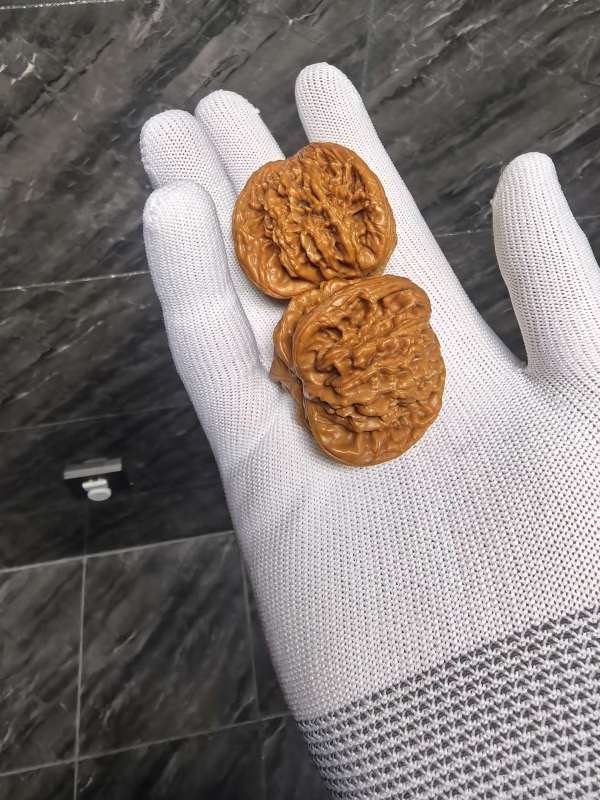 古玩雜項桃核虎頭奔真品鑒賞圖