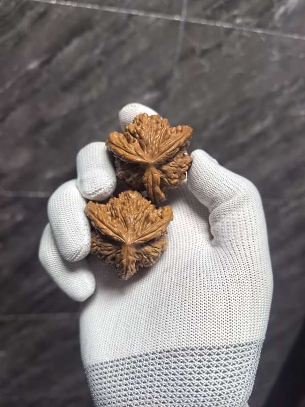 古玩雜項桃核虎頭奔真品鑒賞圖