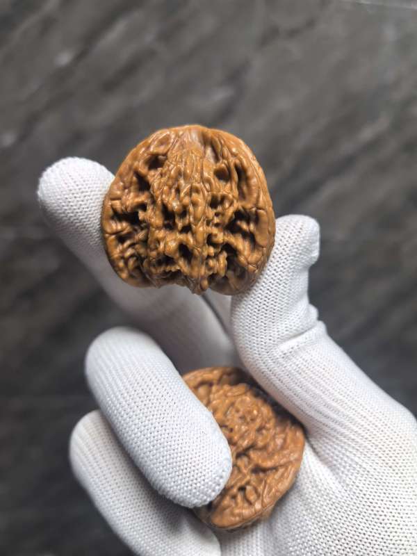 古玩雜項桃核虎頭奔真品鑒賞圖
