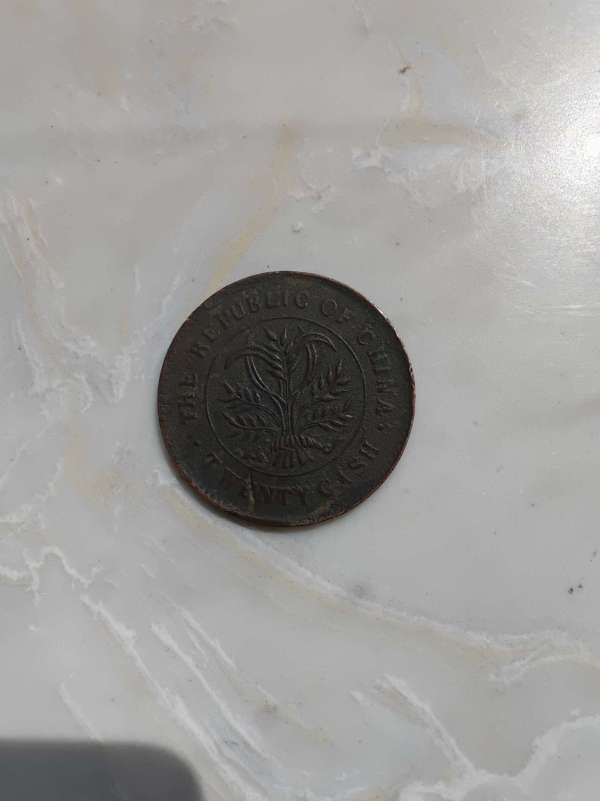 古玩湖南省造雙旗幣當制錢二十文真品鑒賞圖