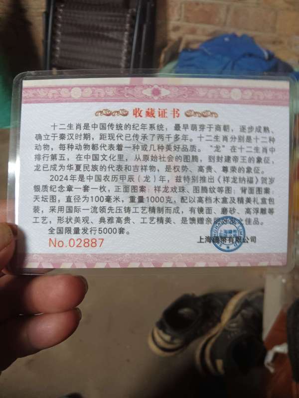 古玩錢幣龍年紀(jì)念章真品鑒賞圖