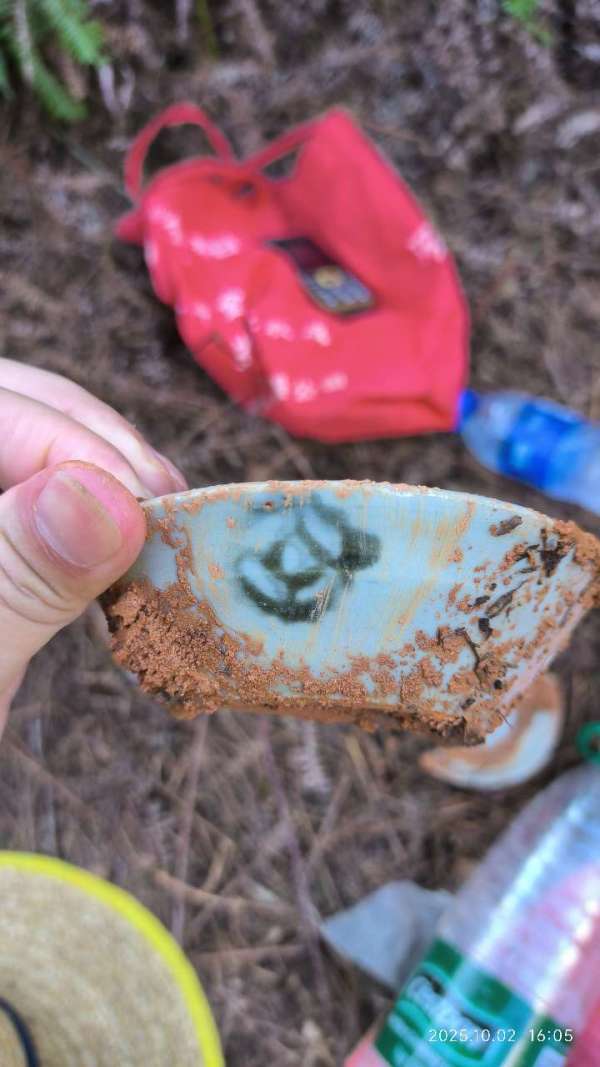 古玩陶瓷青花印花碗真品鑒賞圖