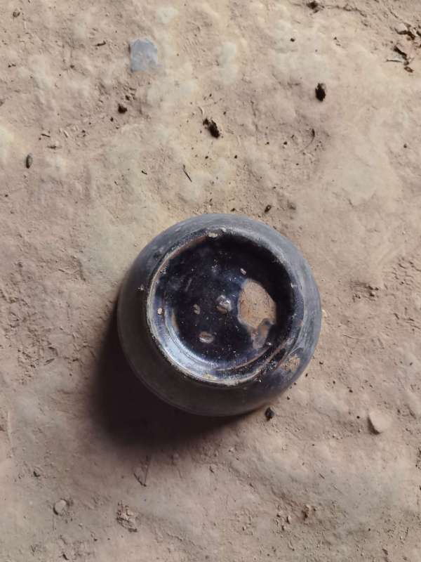 古玩陶瓷醬油缽真品鑒賞圖